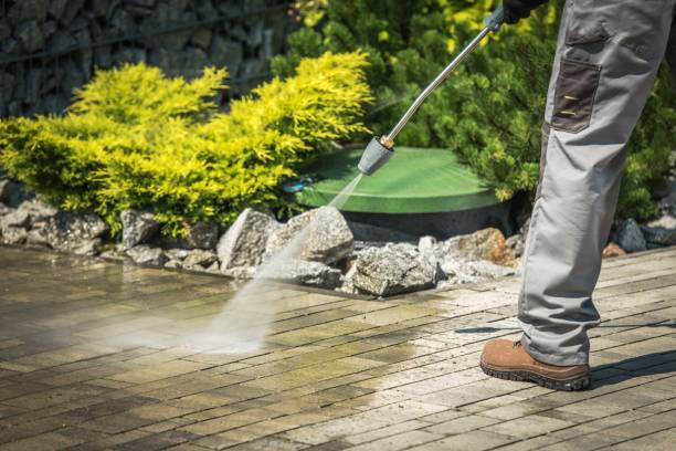 Best Pool Deck Cleaning  in Williamsville, NY